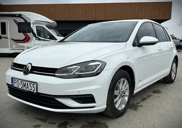 volkswagen golf Volkswagen Golf cena 63900 przebieg: 58523, rok produkcji 2019 z Rzepin